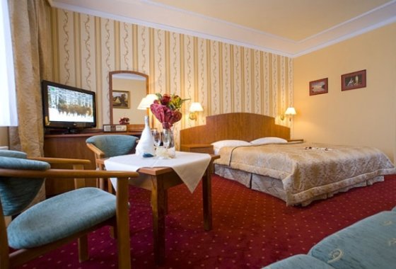 hotel *** - Pensjonat Karkonoski - Pokoje - zdjęcie 3