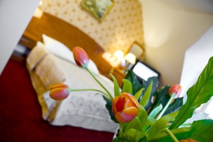 hotel *** - Pensjonat Karkonoski - zdjęcie 11