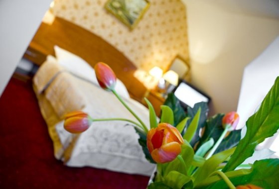 hotel *** - Pensjonat Karkonoski - Pokoje - zdjęcie 5