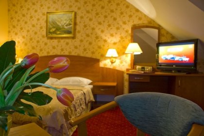hotel *** - Pensjonat Karkonoski - zdjęcie 10
