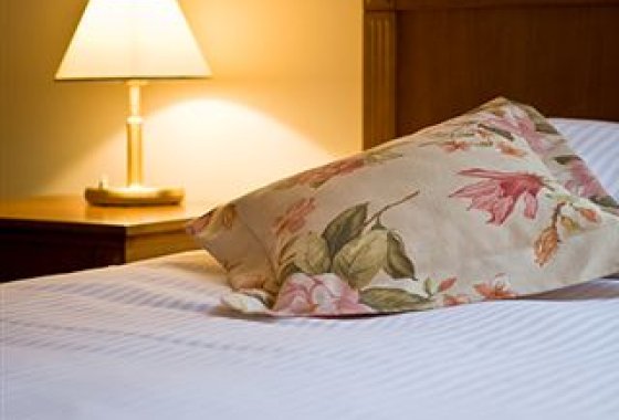 hotel ***** - Hotel Litwor - Pokoje - zdjęcie 1
