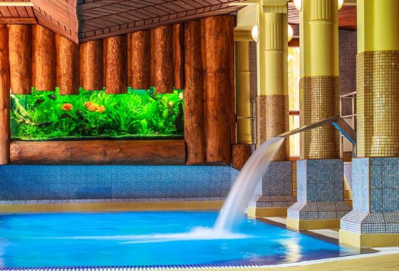 hotel ***** - Hotel Litwor - Usługi - zdjęcie 1