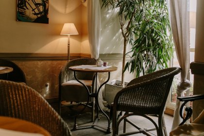 hotel **** - Art Hotel - zdjęcie 36